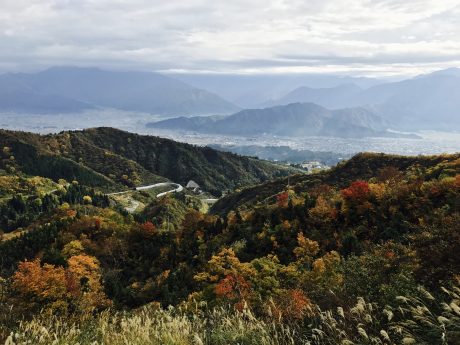 魚沼スカイラインの紅葉